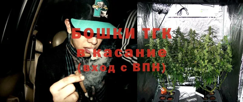 Бошки Шишки SATIVA & INDICA  Верея 